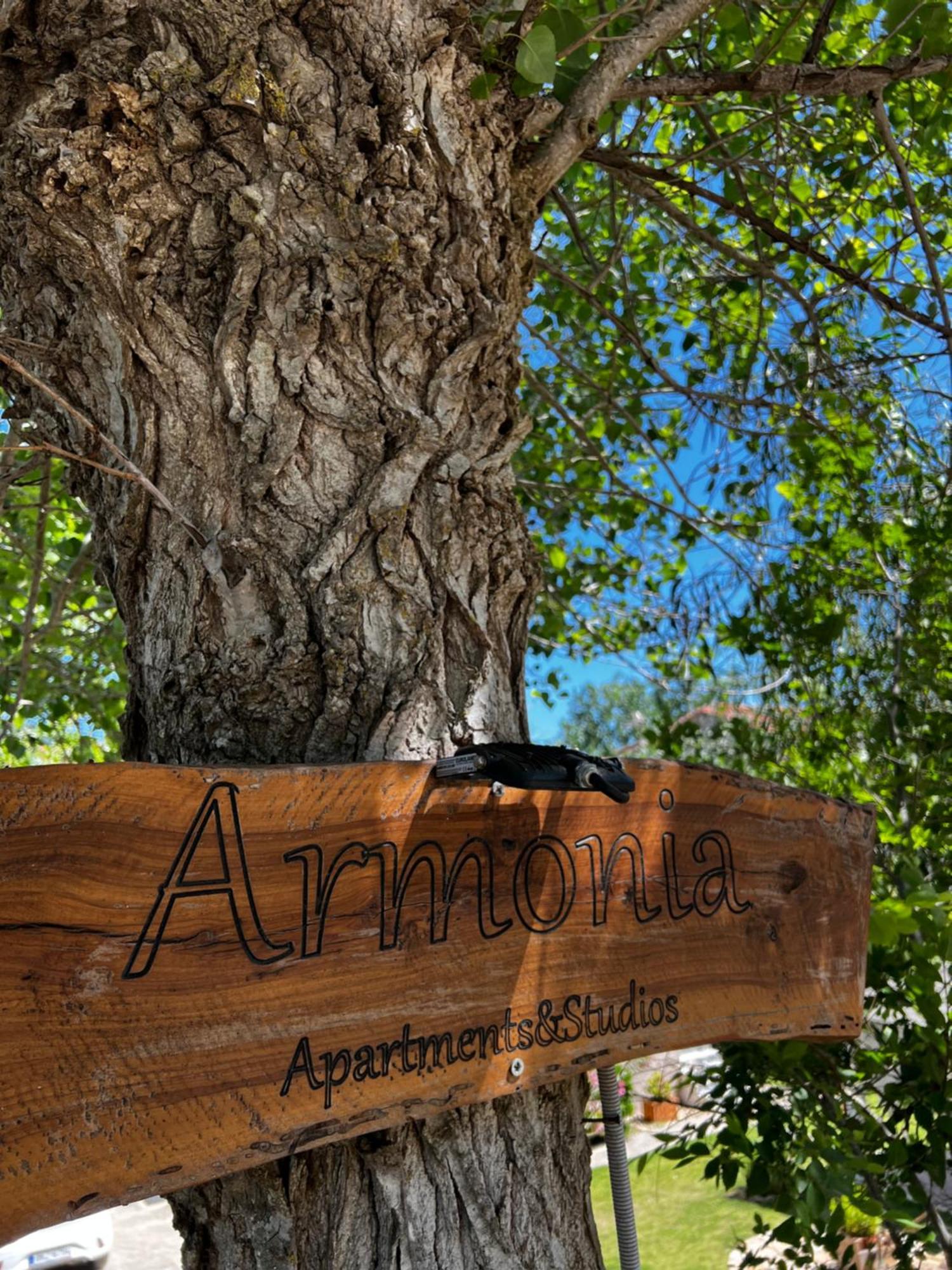 Armonia Apartments & Studios Perivólion Zewnętrze zdjęcie